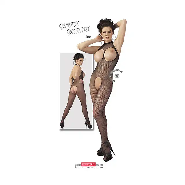 Net Catsuit Black - Siateczkowe body z odkrytym biustem i krokiem.