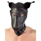 24900991000_1
