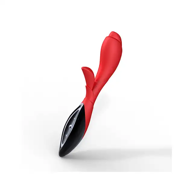 Zini - Zook red/black. Wspaniały kochanek
