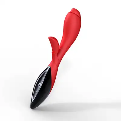 Zini - Zook red/black. Wspaniały kochanek