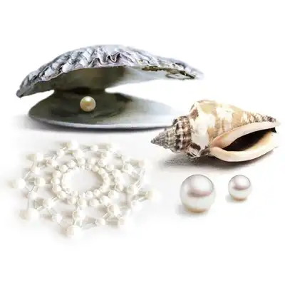 Bijoux Indescreet - Mimi Nipple Cover Pearl. Piękne nakładki na sutki w kształcie perełek. 