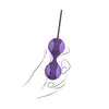 13629_purple_05