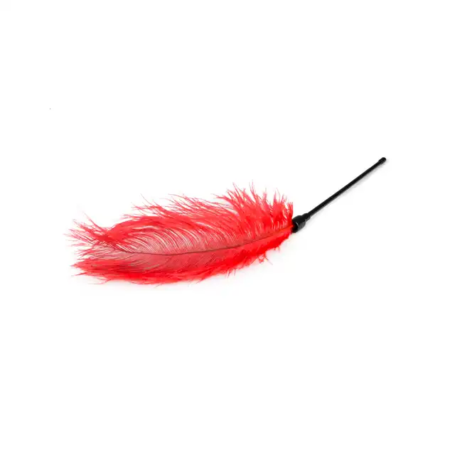 Easy Toys - Feather Tickler Red XL. Duże czerwone piórko. 