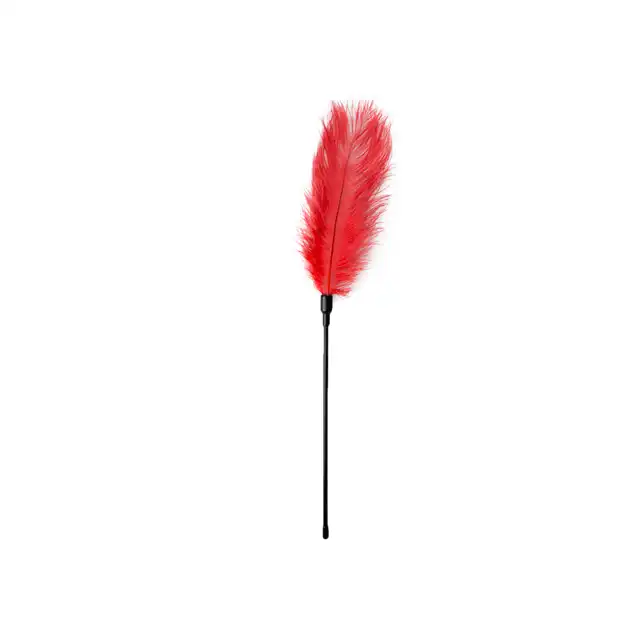 Easy Toys - Feather Tickler Red XL. Duże czerwone piórko. 