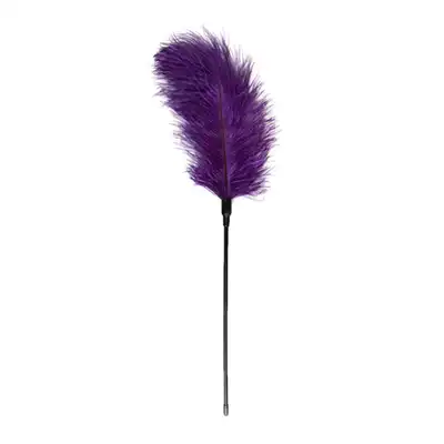Easy Toys - Feather Tickler Purple XL. Fioletowe delikatne piórko. 