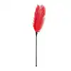 Easy Toys - Feather Tickler Red XL. Duże czerwone piórko. 