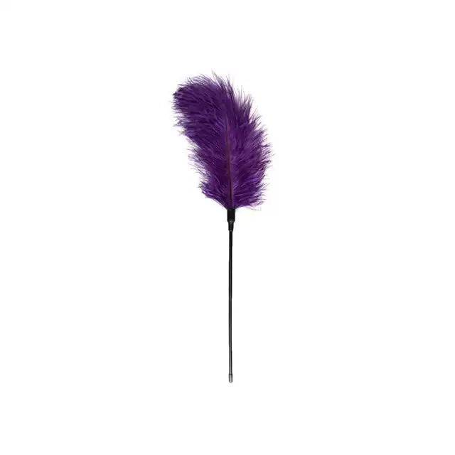 Easy Toys - Feather Tickler Purple XL. Fioletowe delikatne piórko. 