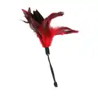 Sportsheets - Pleasure Feather Red. Bordowe piórko. 