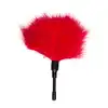 55-ET255RED_1