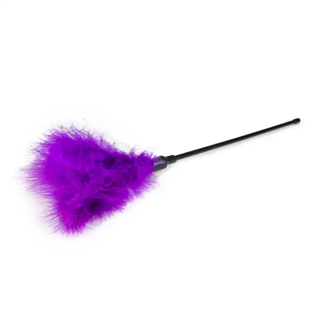 Easy Toys - Feather Tickler Purple Long. Piórko z długą rączką. 