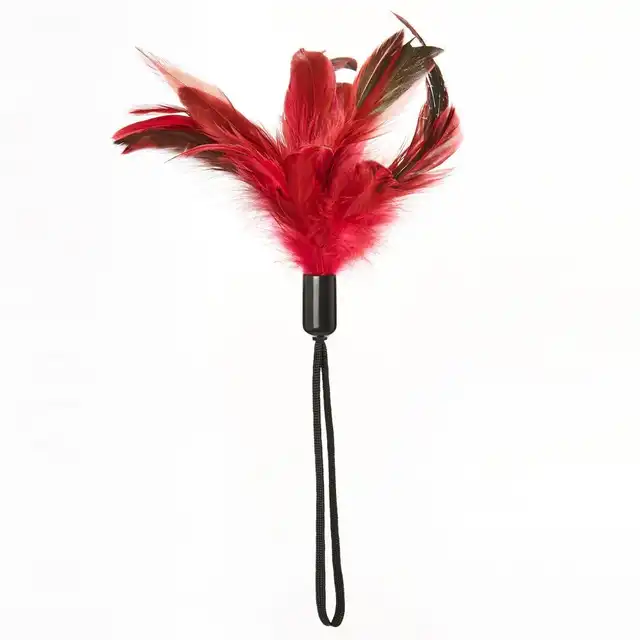 Sportsheets - Pleasure Feather Red. Bordowe piórko. 