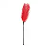 55-ET254RED_1