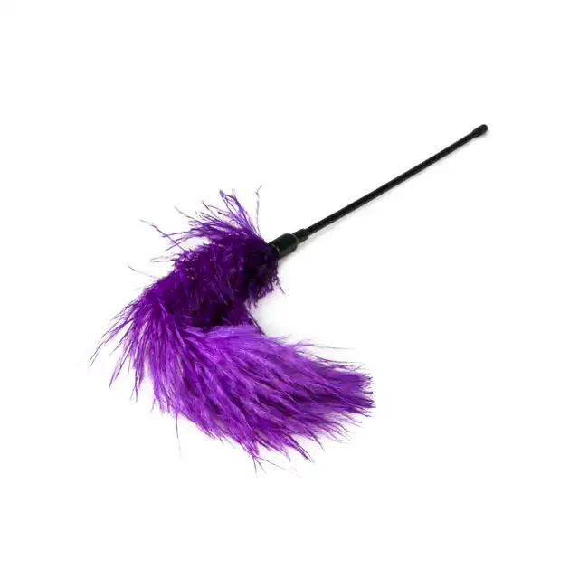 Easy Toys - Feather Tickler Purple XL. Fioletowe delikatne piórko. 
