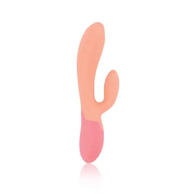16-26361_02