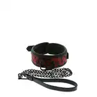 DreamToys - Blaze Deluxe Vollar &amp; Leash. Obroża + smycz z motywem smoka. 