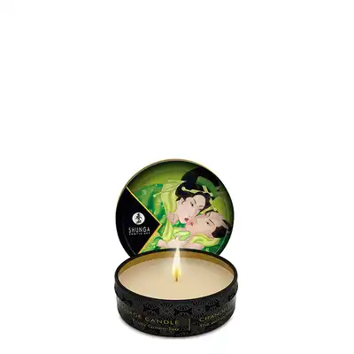Shunga Candle 30 ml  Zenitude - Świeca do masażu Exotic Green Tea