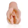 45493_2