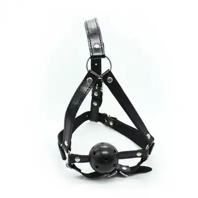 Toyz 4 Lovers - Head Harness +Ball Gag