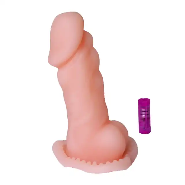 BI-016006Z_01