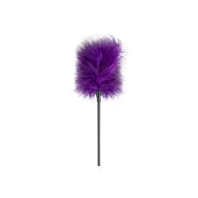 Secret Pleasure Chest - Dark Apprentice Purple. 11-częściowy zestaw BDSM!