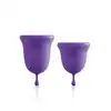 22501_PURPLE_01