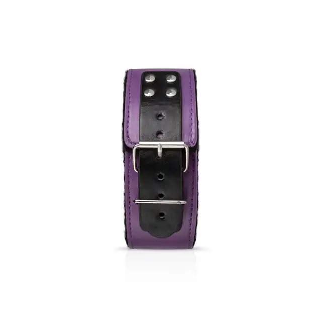 Secret Pleasure Chest - Dark Apprentice Purple. 11-częściowy zestaw BDSM!