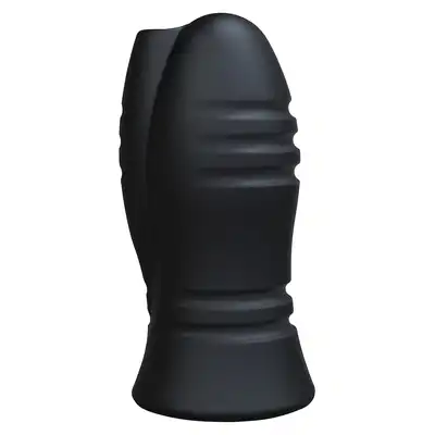 3001069311