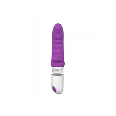 Wibrator-VIBRATORE DESIGN ELYS - RHINHORN VIBE PURPLE