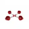 36-OU050RED_02