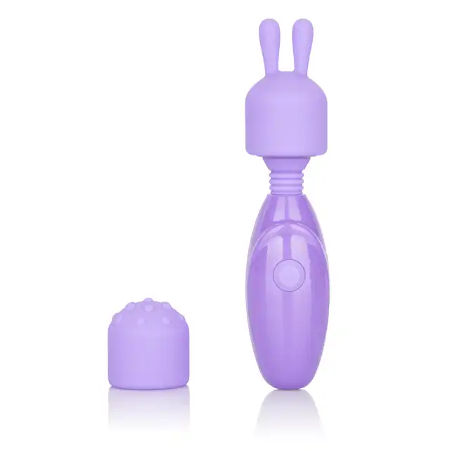 13540_VIOLET_01