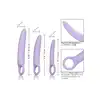 13547_PURPLE_04
