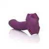 12859_PURPLE_05