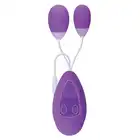 18096_PURPLE_01