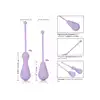 13546_PURPLE_04