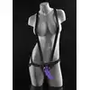 21334_PURPLE_01