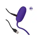 13471_PURPLE_04