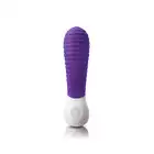 18295_PURPLE_01
