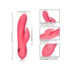 13450_PINK_04
