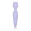13659_PURPLE_01