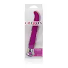 13646_PURPLE_02