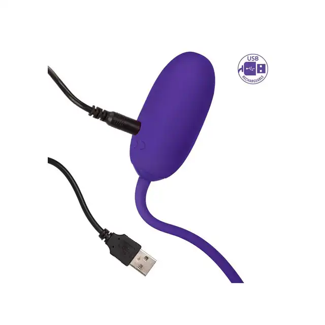 13471_PURPLE_04