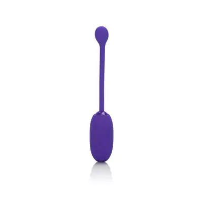 13471_PURPLE_01