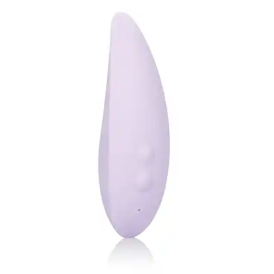 13541_VIOLET_01