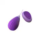 22330_PURPLE_01