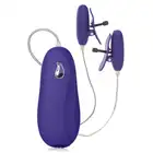 12932_PURPLE_01