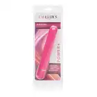 13648_PINK_02