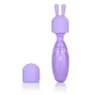 13540_VIOLET_01