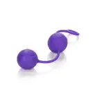 12483_PURPLE_01