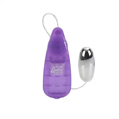 13619_PURPLE_01