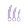 13547_PURPLE_01